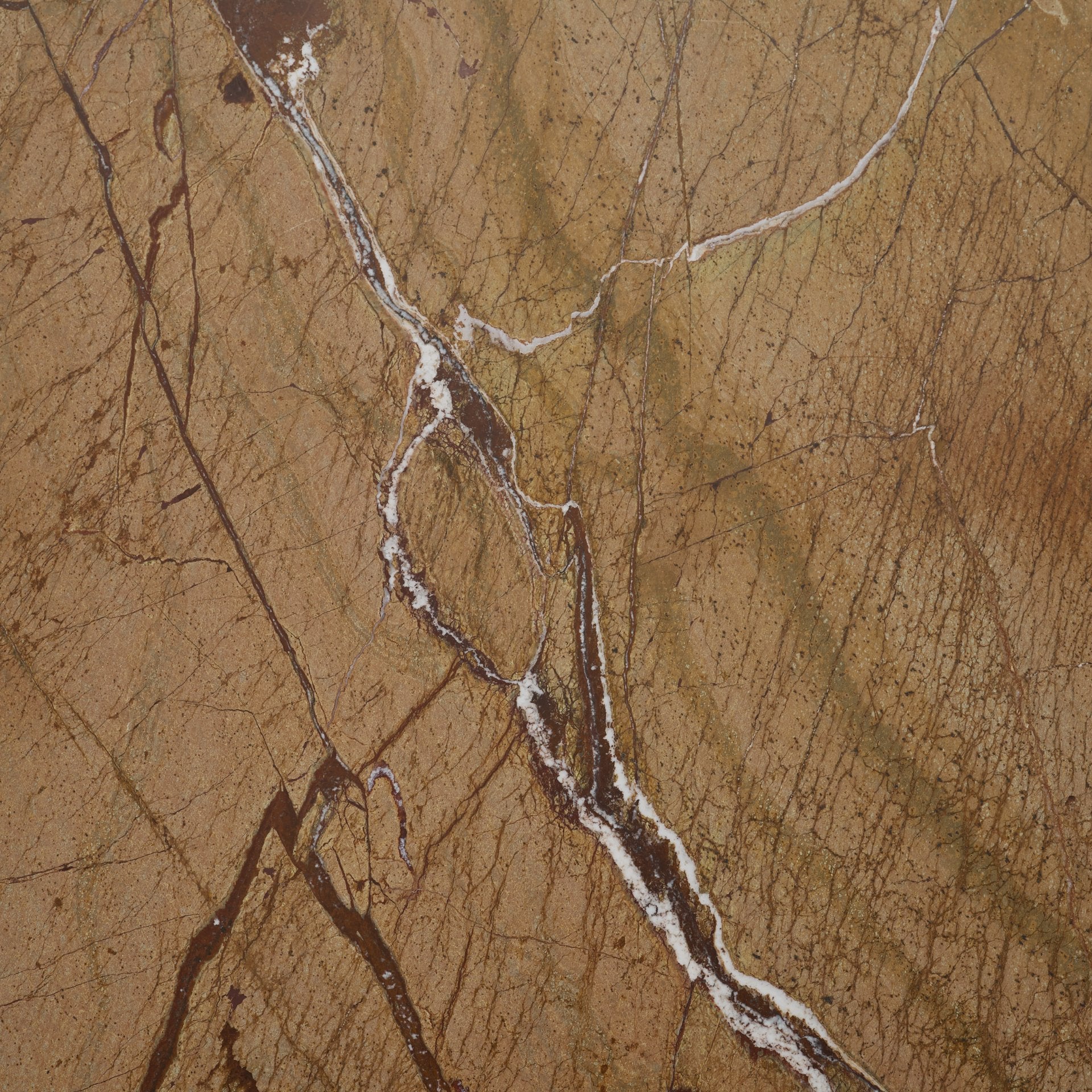 Matteo Solid Rainforest Rust Marble Rectangular Coffee Table - Image 10