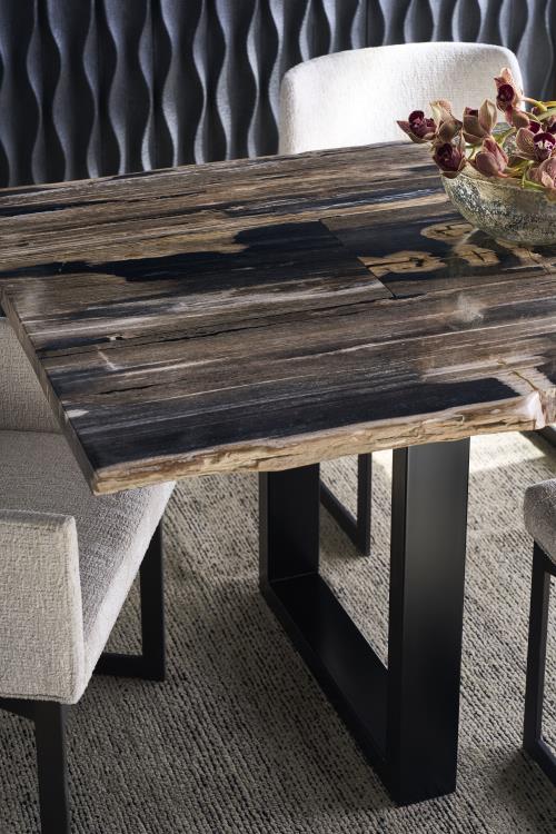 Andreas Petrified Wood Dining Table - Image 4
