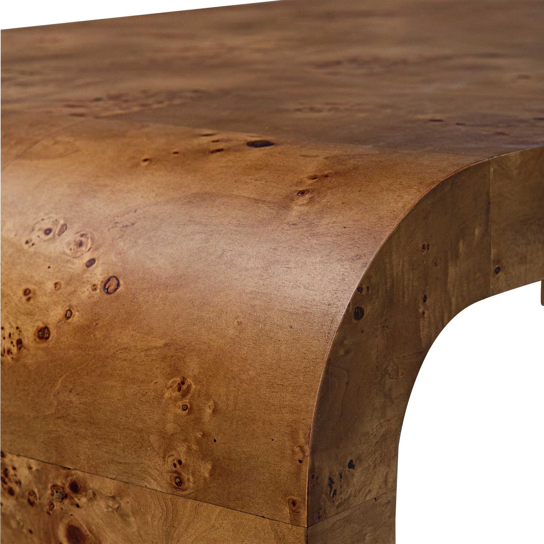 Carraway Burl Wood Coffee Table - Image 6