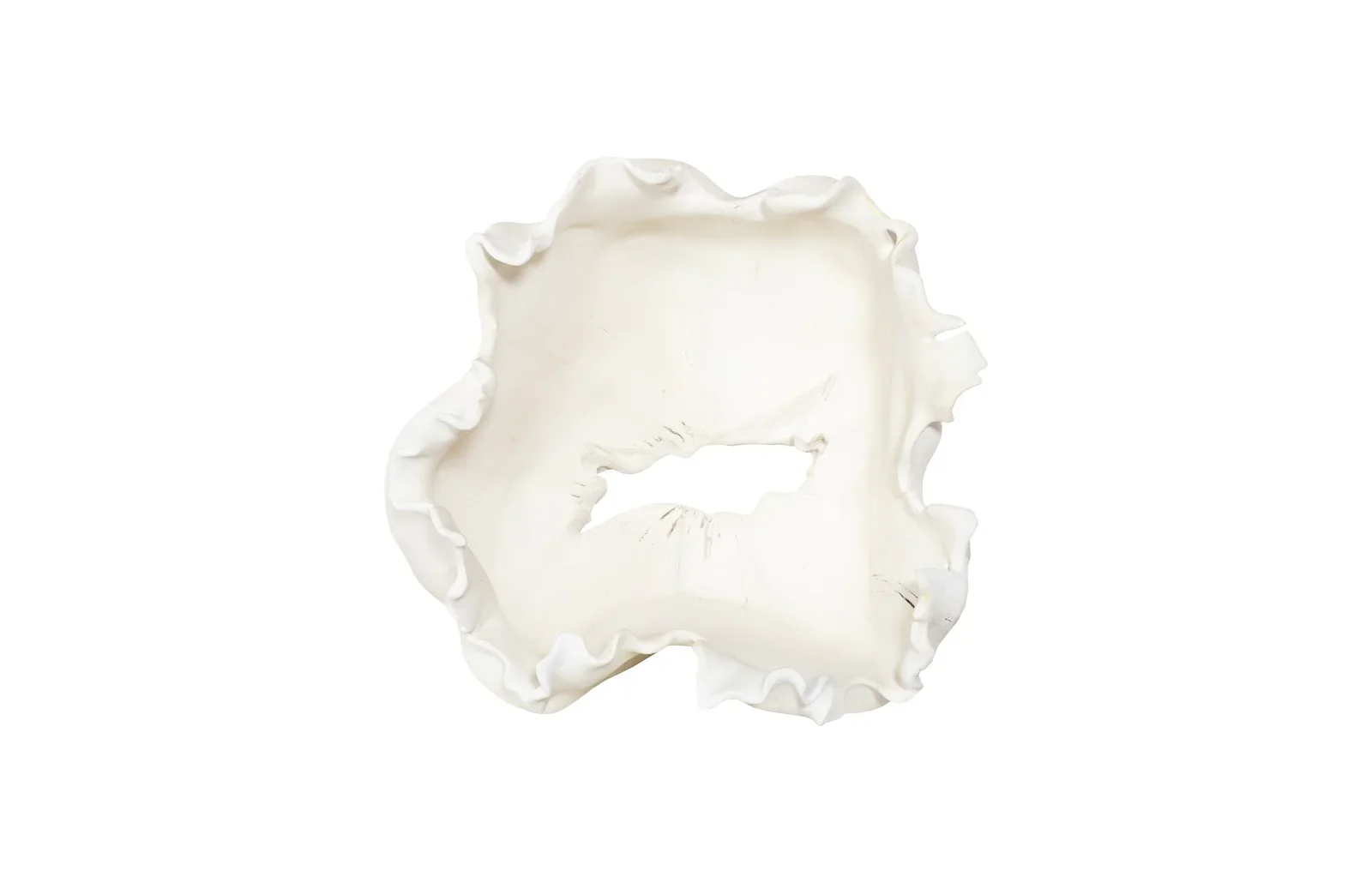 Cast Root Bowl - Image 2