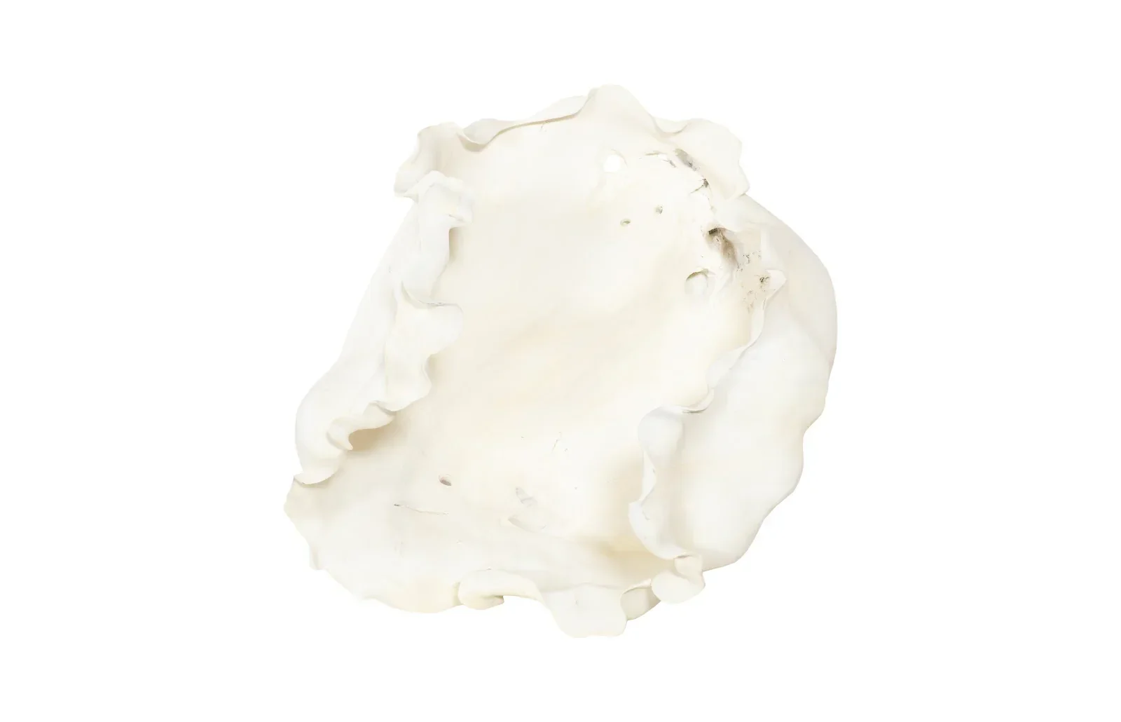 Cast Root Bowl - Image 6