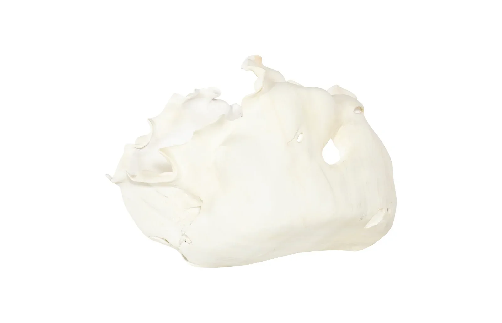 Cast Root Bowl - Image 8