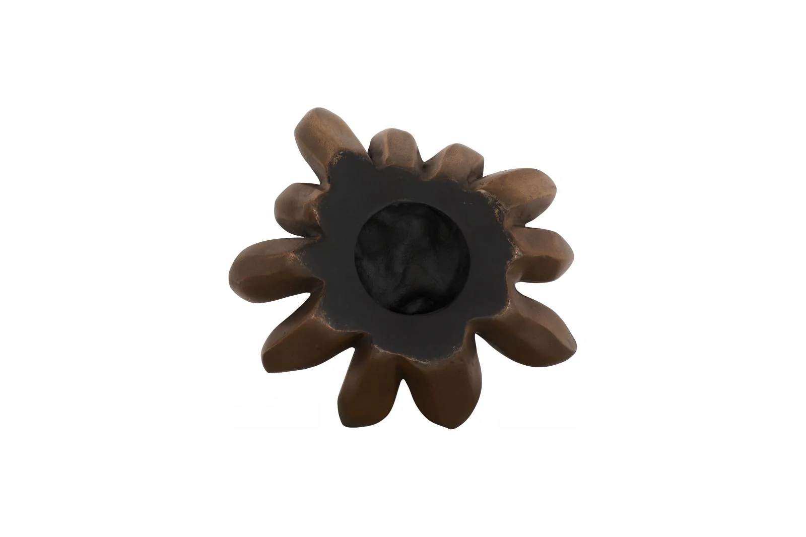 Compactum Succulent Wall Art - Image 4