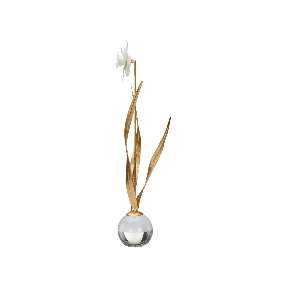 Daffodil - Image 6