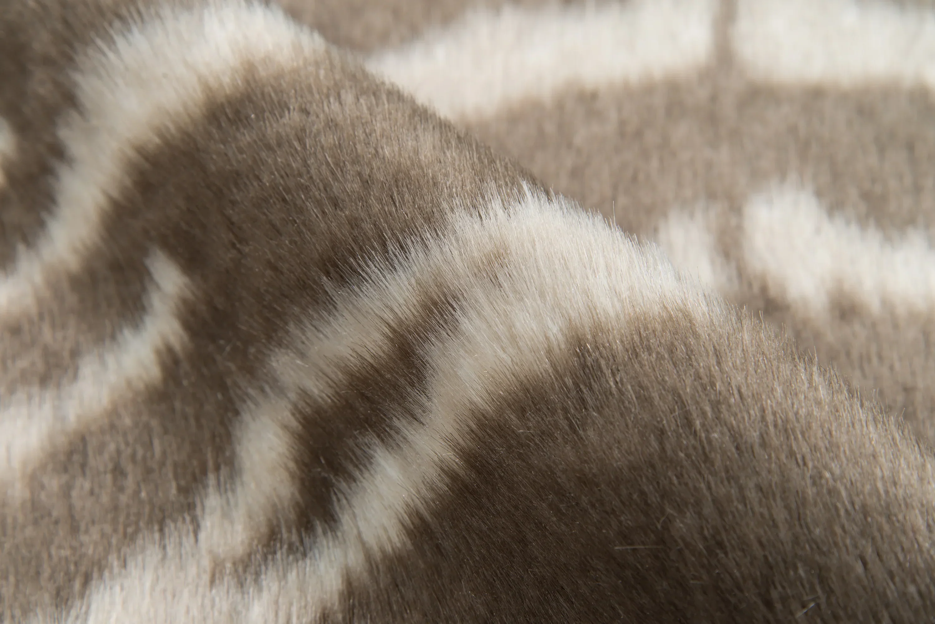 Acadia Zebra Rug - Image 10