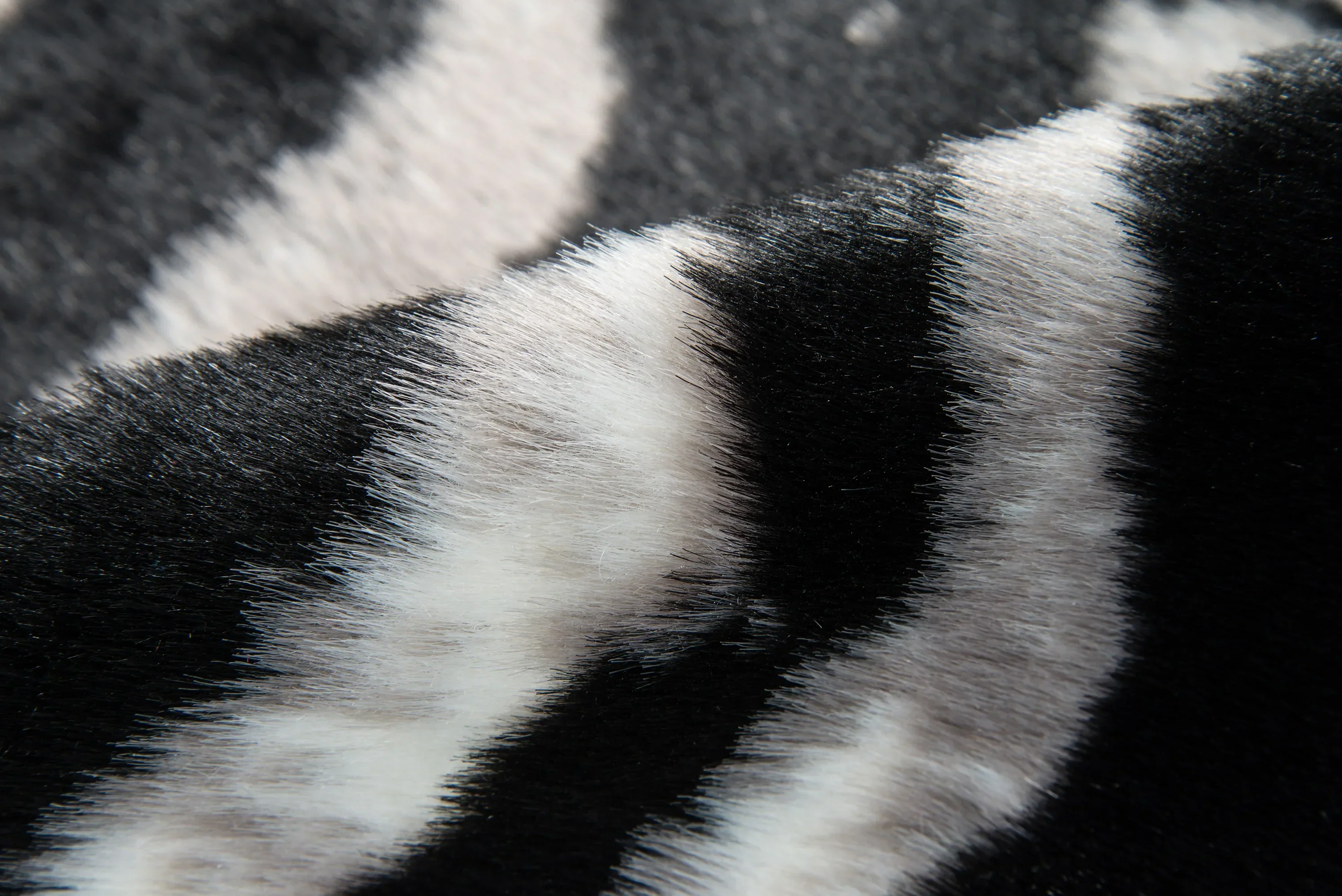 Acadia Zebra Rug - Image 4