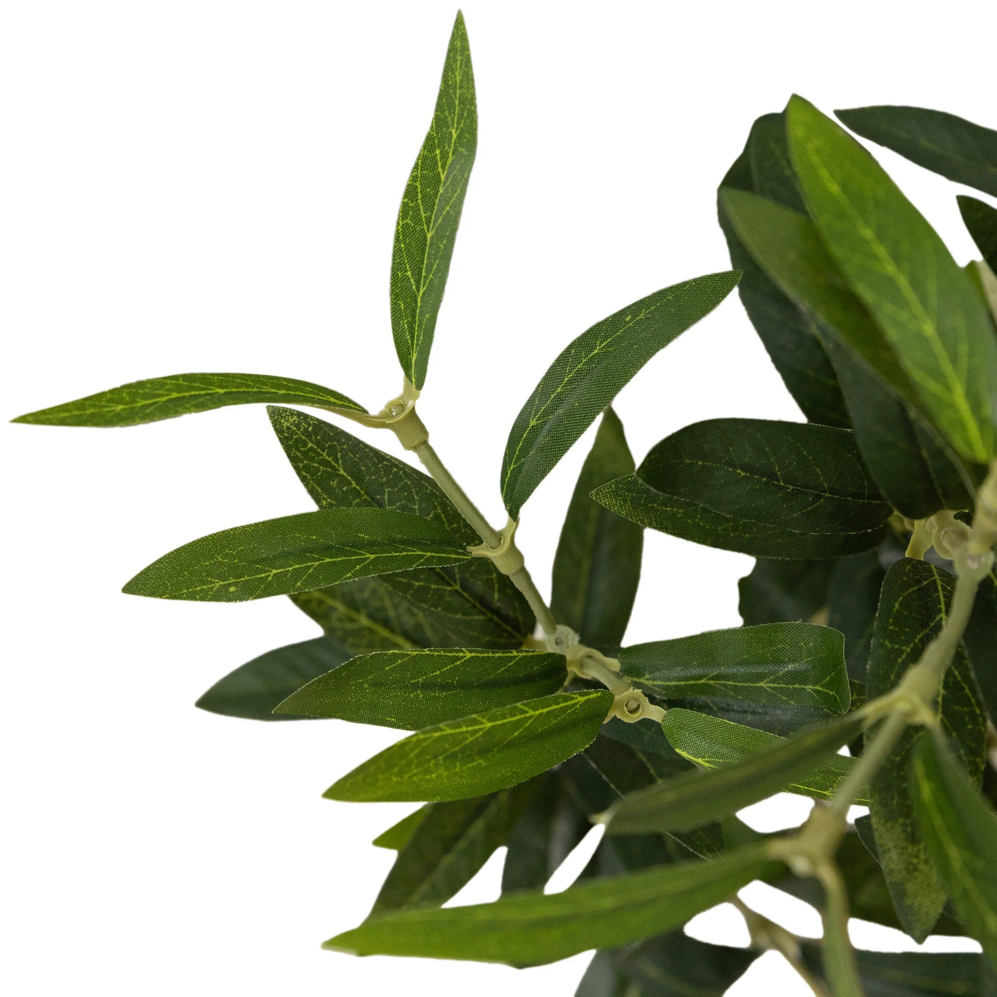 Faux Olive Tree Wide - Image 7