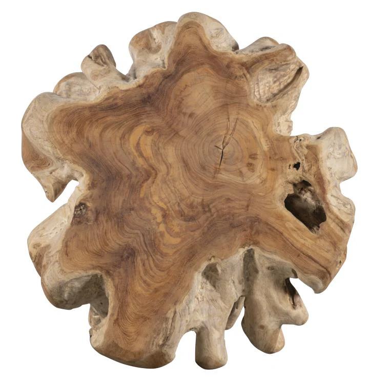 Hunter Teak Root Accent Table - Image 6