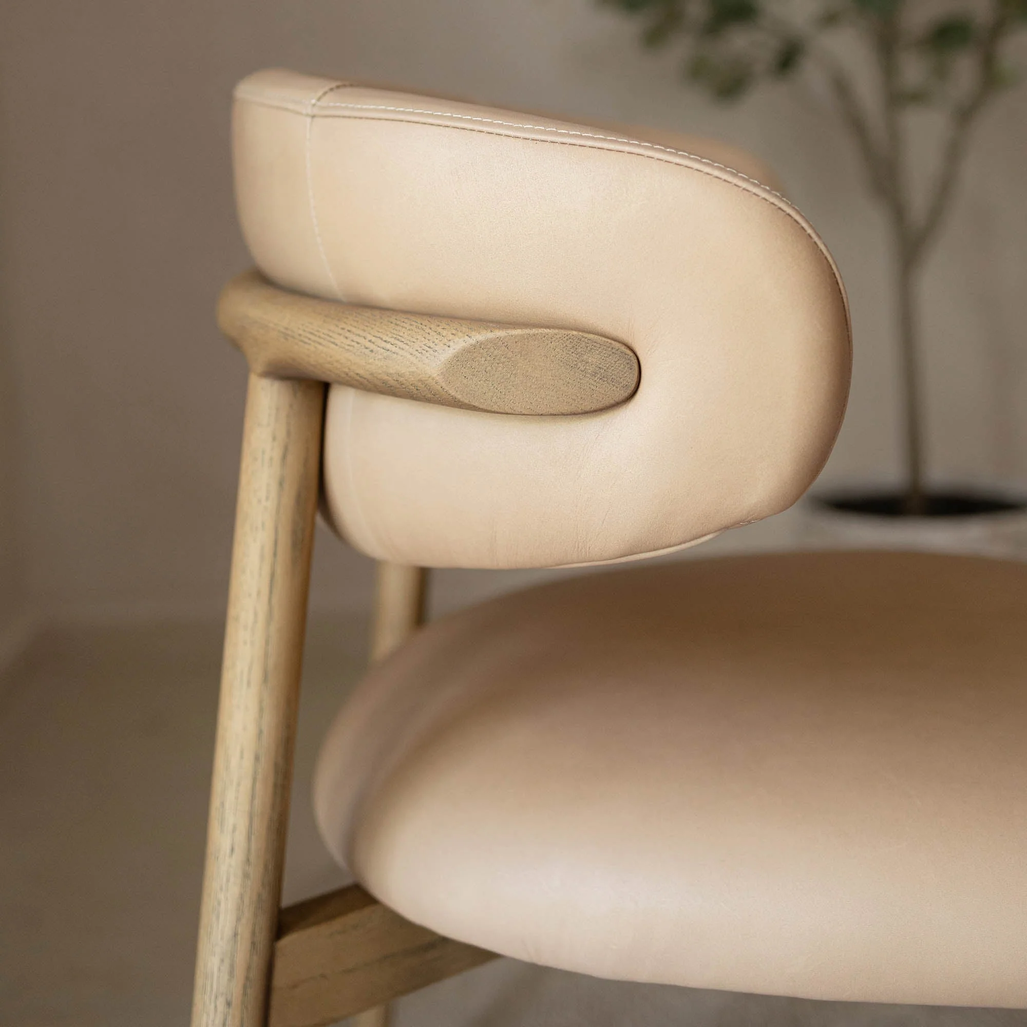 Milo Dining Chair - Image 11
