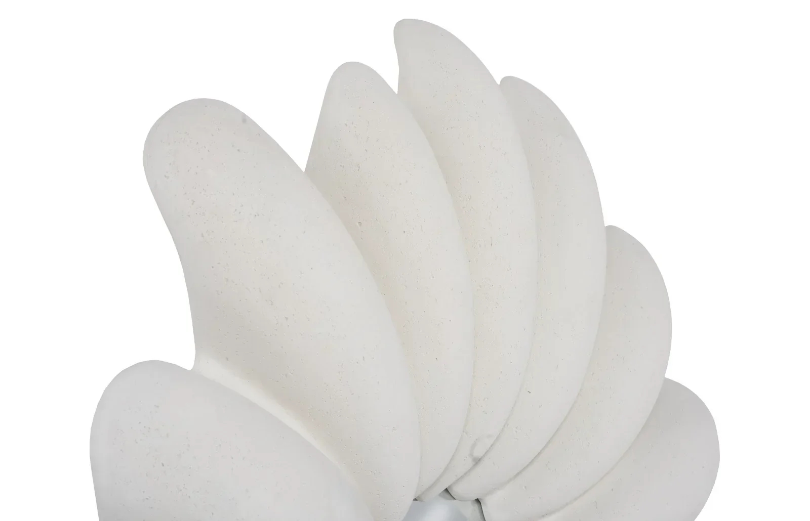 Radial Shell Mirror - Image 4