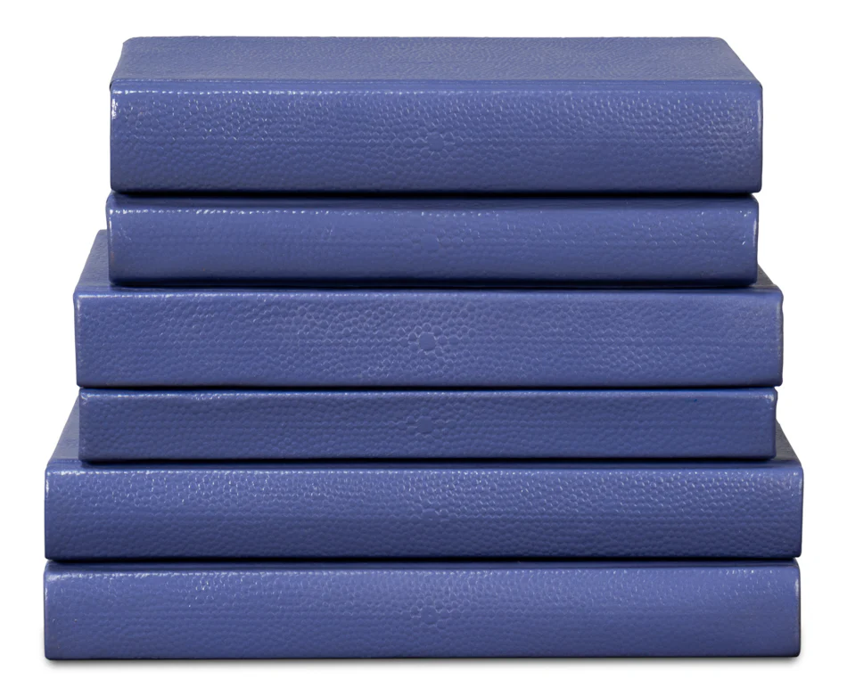 Shagreen Books - Image 8