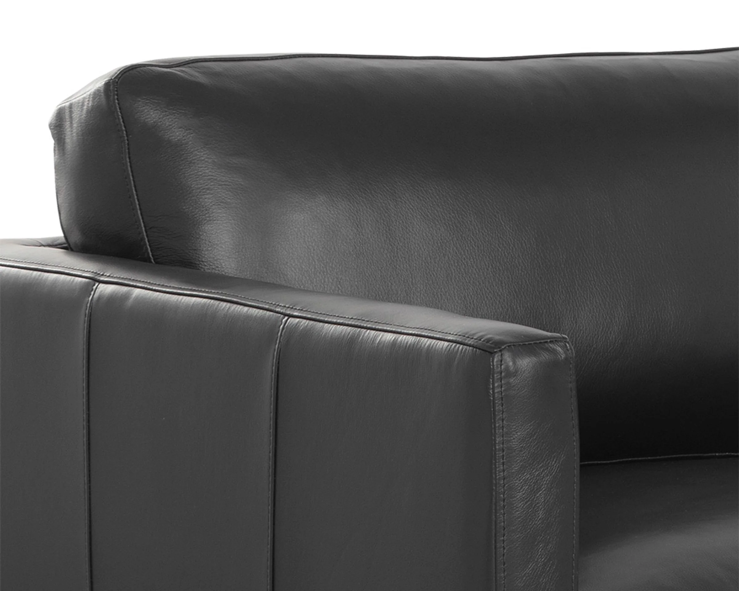 Rogers Sofa - Image 6