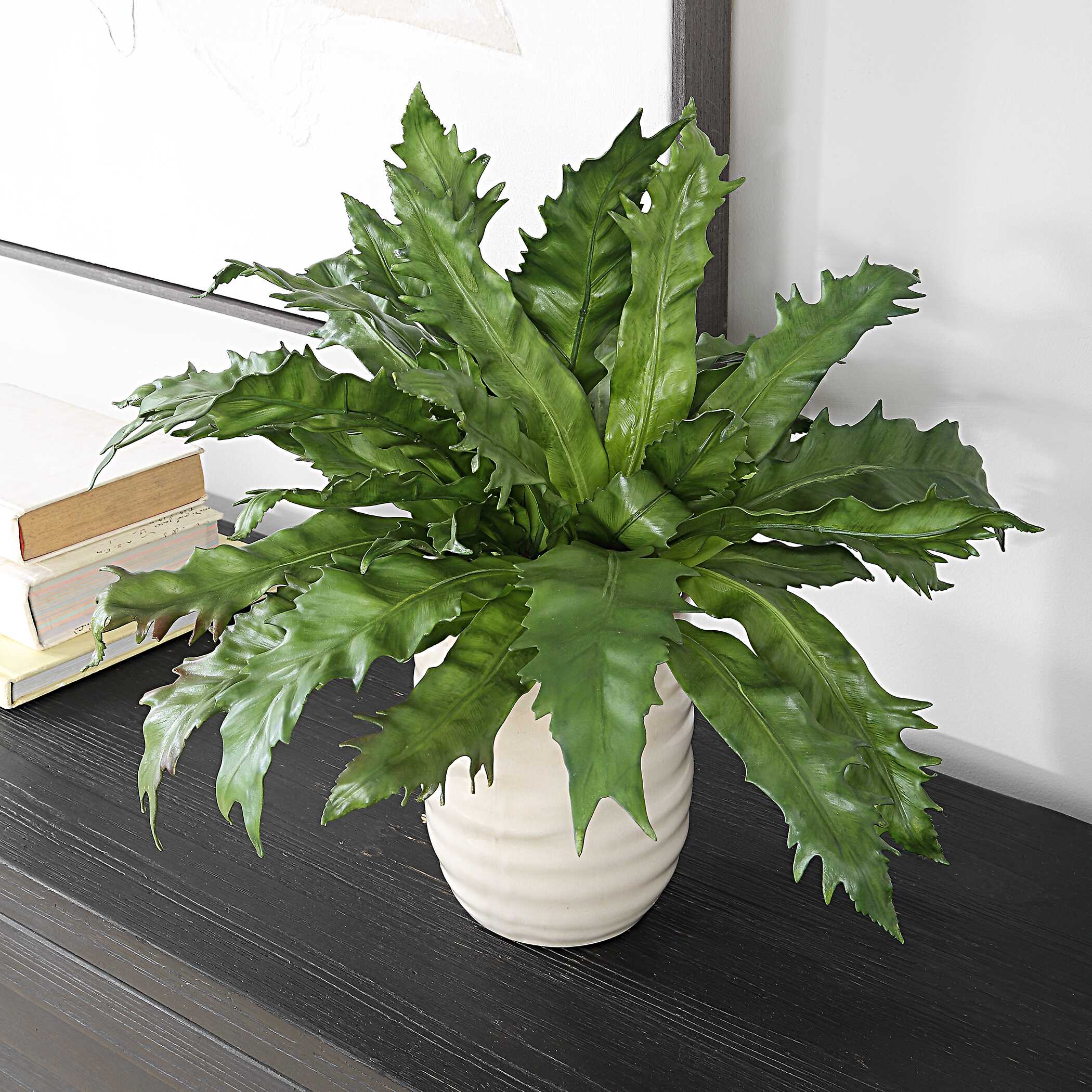 Verdure Fern In Glazed Pot - Image 3