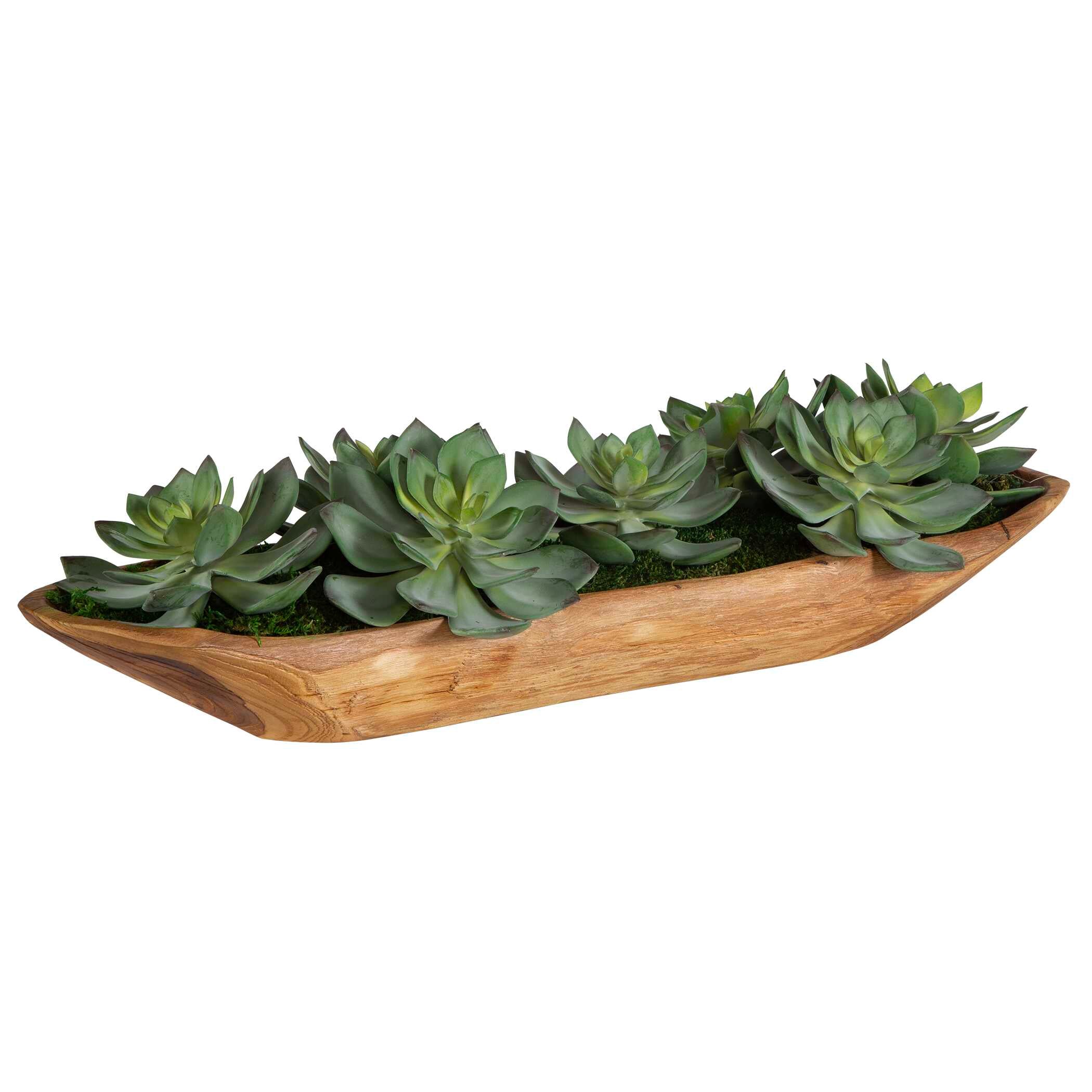 Yuma Succulent Centerpiece Small - Image 3